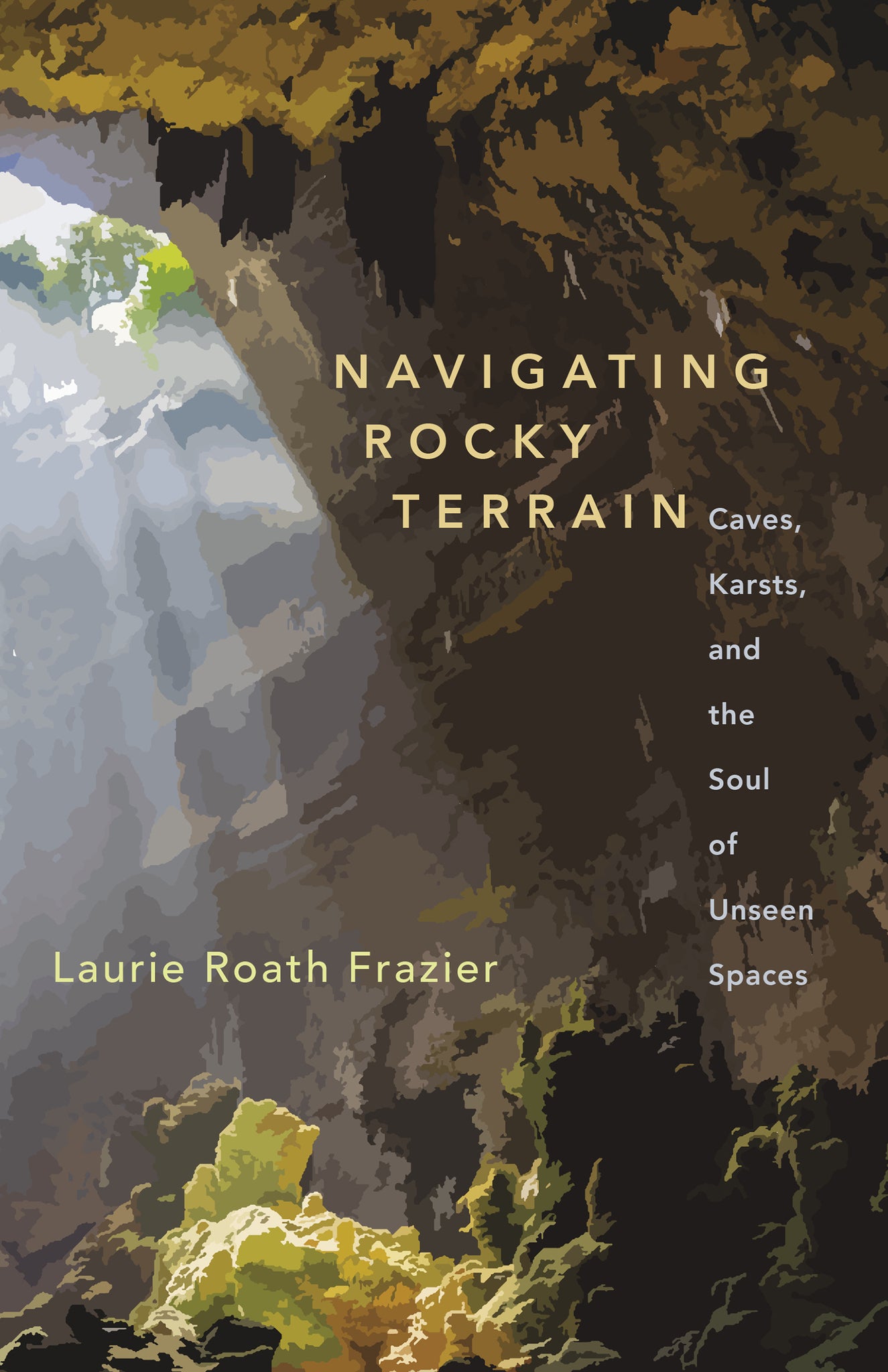 Cover image for Navigating Rocky Terrain ISBN 9781595342881